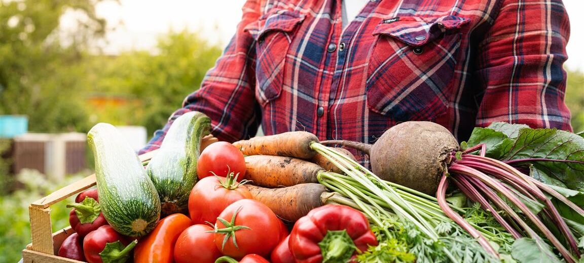 Basket of fresh farmers market produce