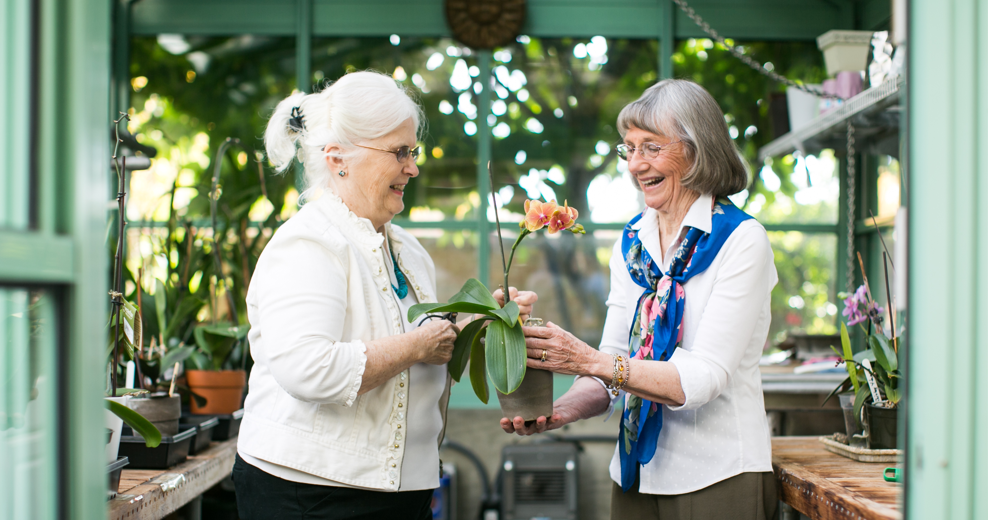 Two ladies discussing a small potted plant one is holding.