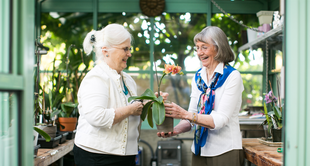 Two ladies discussing a small potted plant one is holding.